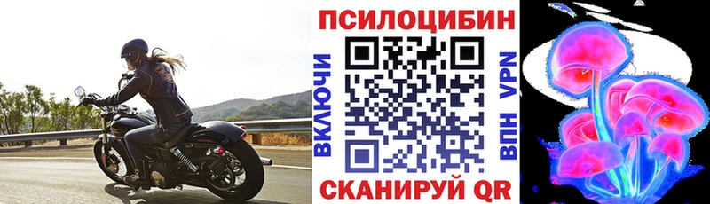Псилоцибиновые грибы Cubensis  даркнет какой сайт  Луга  блэк спрут вход 